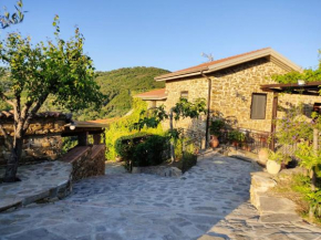 Hotels in Ogliastro Cilento